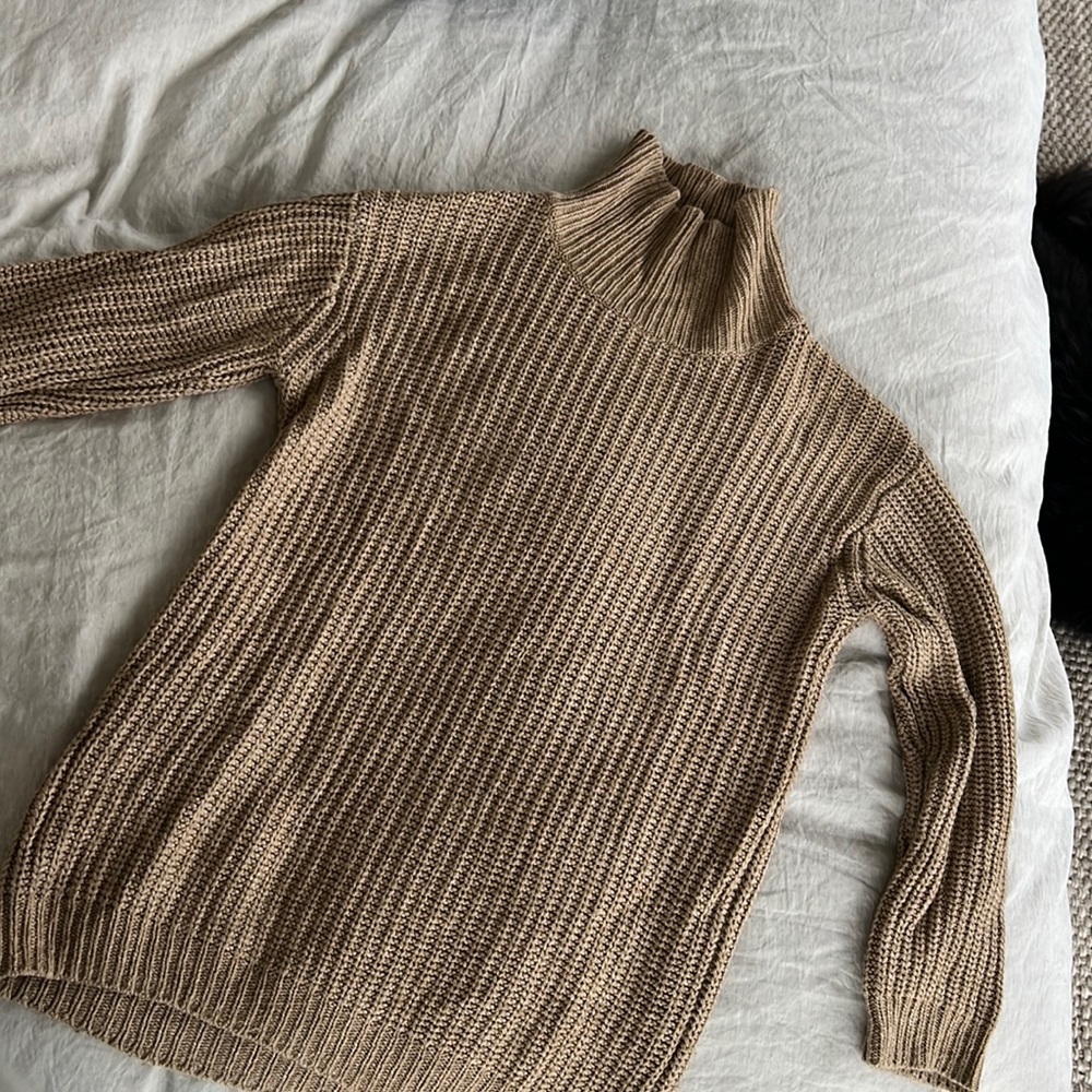 Aritzia Turtleneck